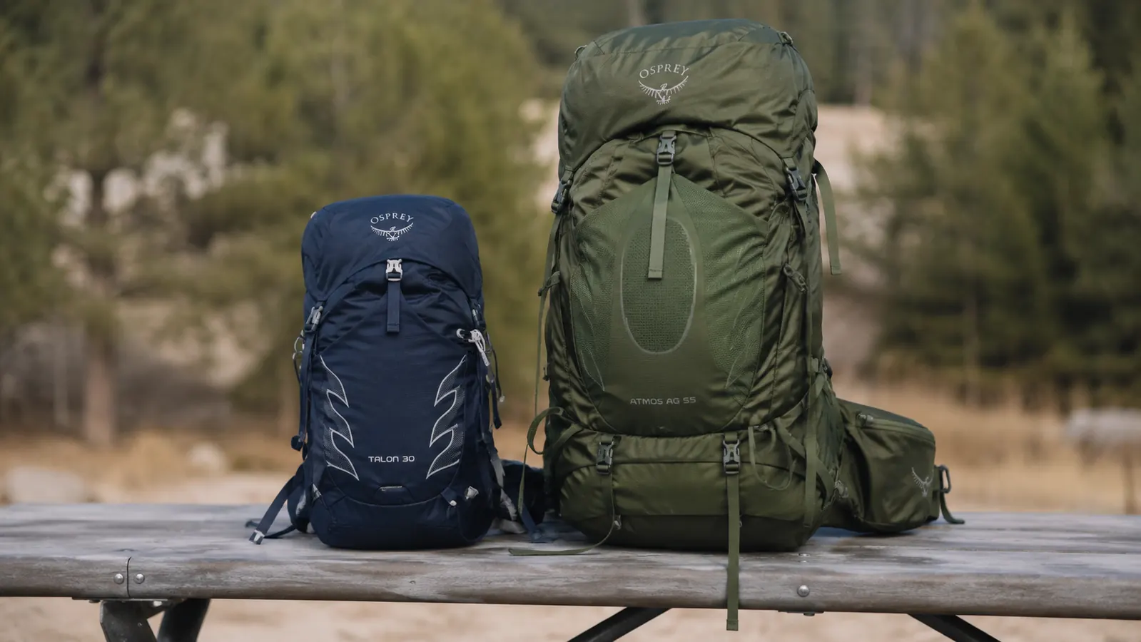 Side-by-side size comparison of a small daypack versus a large 55L internal frame backpack on a wooden gear bench